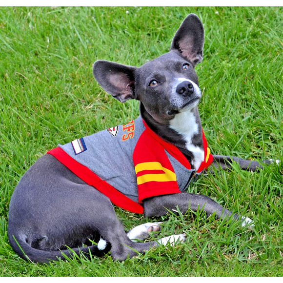 NFL Kansas City Chiefs Pet Wear Hoodie Dog Cat Shirt Offical NFL Licensed XS NEW - Picture 9 of 10